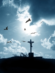 imagen aves y cruz