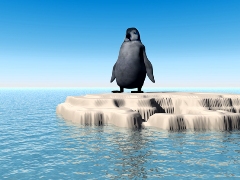 imagen pinguino joven