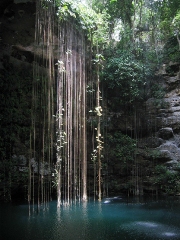 imagen cenote tropical