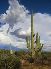 imagen mexico vista paisaje
