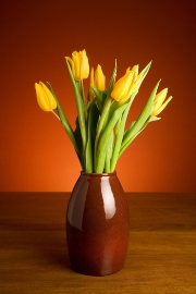 imagen florero tulipanes