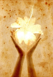 imagen tarjeta vintage flor