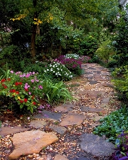 imagen jardin con caminito