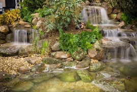 imagen jardin con cascadas