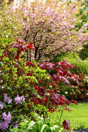 imagen jardin de primavera