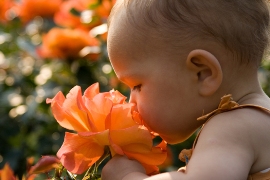 imagen bebe oliendo flor