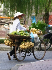 imagen vendedor vietnamita