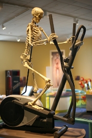 imagen caminata esqueleto