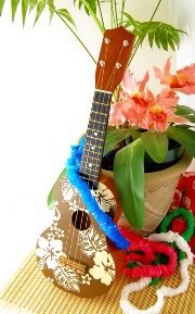 imagen ukulele hawaiano