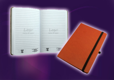 agendas moleskine liga