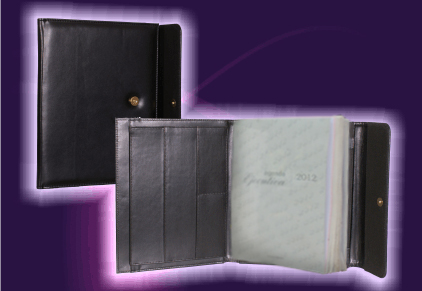 agendas triptico