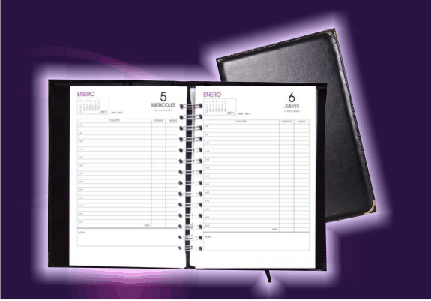 Agendas diarias de caja - control contable - entradas y 