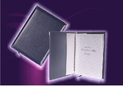 agendas motivacional varios colores