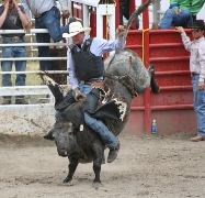 imagen jaripeo toro