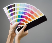 imagen pantone