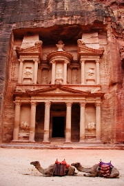 imagen petra con camellos