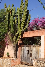 imagen casa rustica mexico