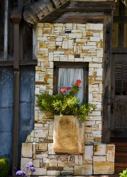 imagen flores en la ventana