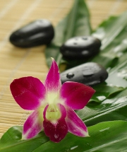 imagen orquidea spa