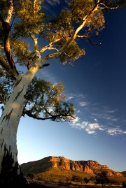 imagen rangos de flinder australia