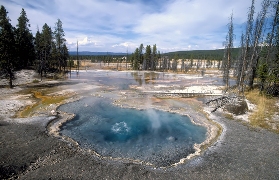 imagen geysers en yellowstone