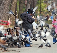 imagen hombre con palomas