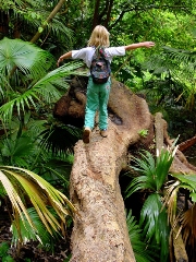 imagen nia caminando sobre tronco en jungla
