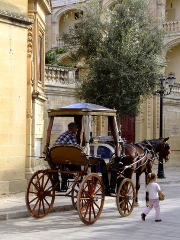 imagen carro con caballo