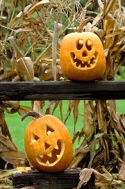 imagen calabazas halloween