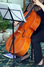 imagen tocando violoncello