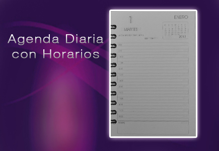 contenido agenda memorandum tipo diaria